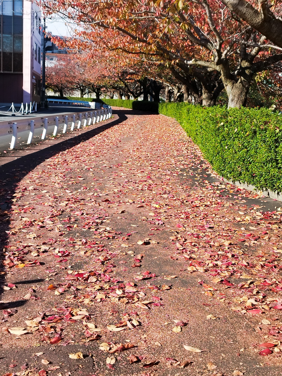 1119IMG_20251116_140456 (002)