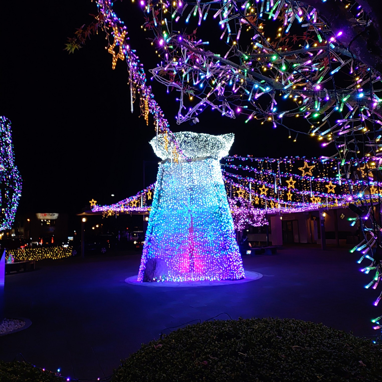 01122KIMG20251210_182623496 (002)